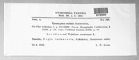 Uromyces minor image